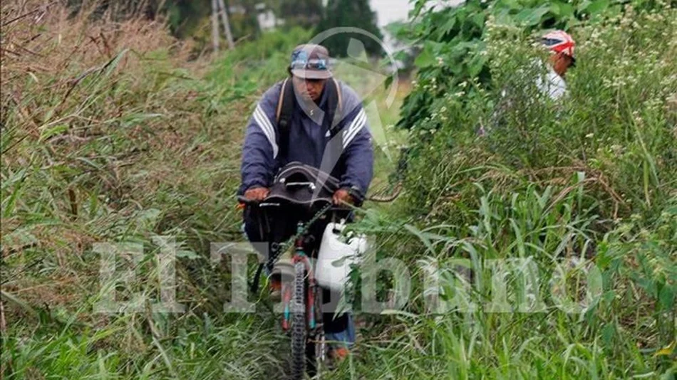 Terrenos baldíos  siguen sin limpiarse y son zona de peligro