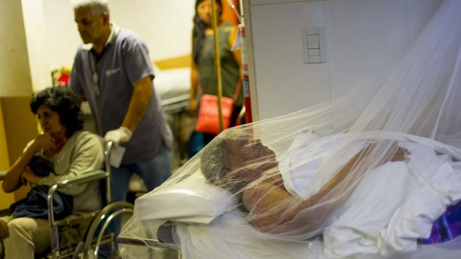 Van cerca del doble de casos de  dengue en esta temporada de vigilancia	