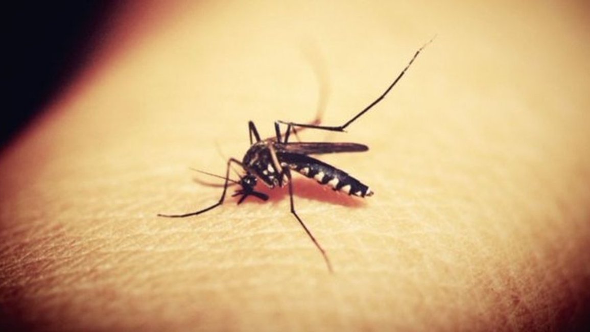 Salta refuerza la prevención contra dengue en el verano 2025