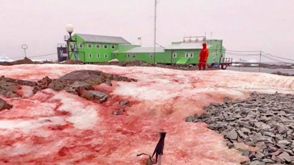 El hielo de la Antártida se tiñó de rojo sangre 