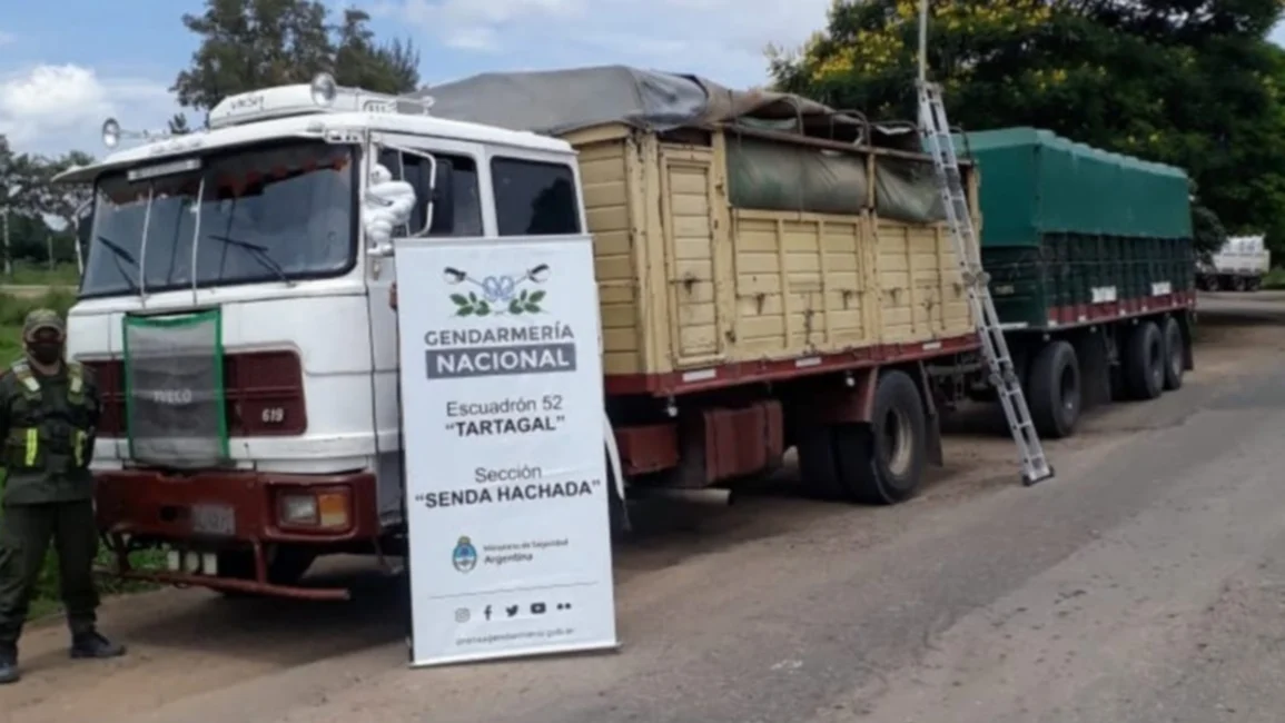 Gendarmería decomisó 107 toneladas de soja ilegal y 30 toneladas de maíz