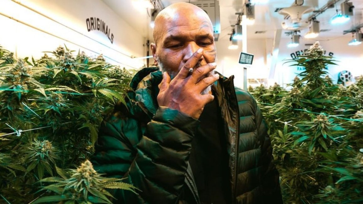 Mike Tyson suma ingresos millonarios gracias a la marihuana