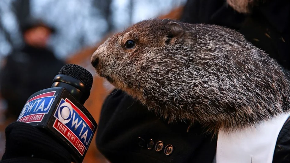 ¿Se viene el invierno eterno? Murió la marmota "Milltown Mel"