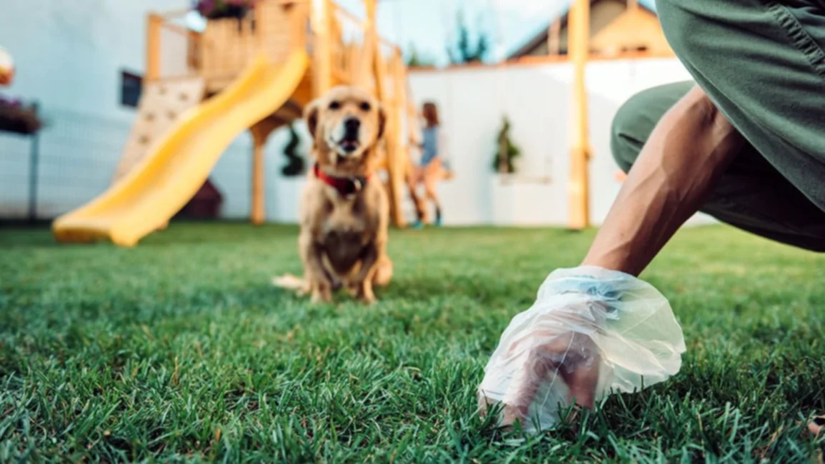 En Corrientes, los dueños de perros que no levanten las heces de su mascota pagarán multas de $200.000