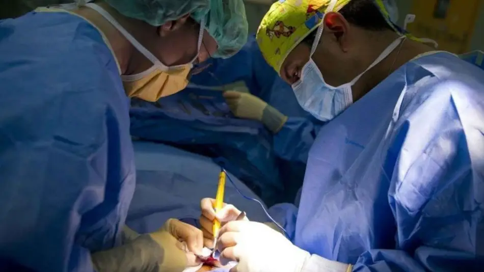  En el Oñativia operaron a más de 280 personas