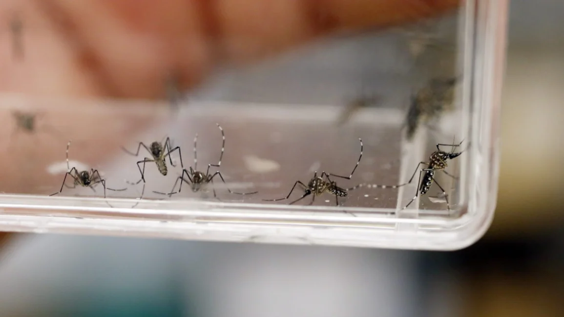 Cambió el mapa epidemiológico: El avance del dengue pone en vilo a Anta