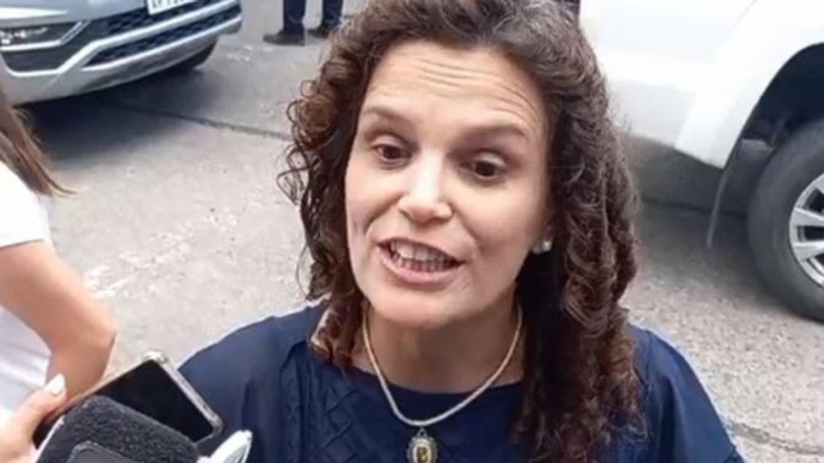 Fiore: "En el transcurso de la semana responderemos si se atrasa el inicio de clases"