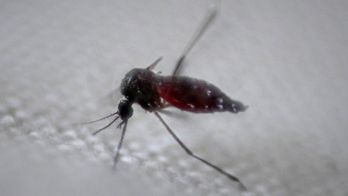Dengue: supervisan hospitales del sur provincial