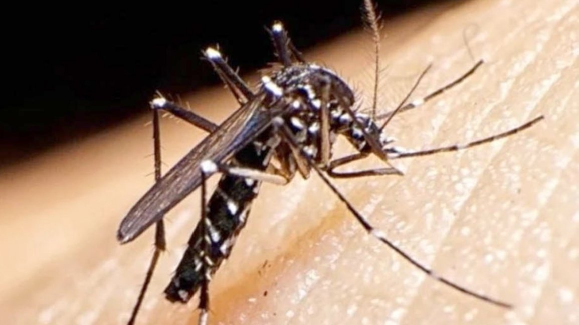  Hay alerta por los casos en Bolivia y esperan una oleada de dengue en el norte