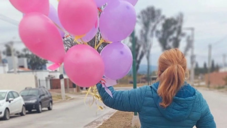 Tragedia en Salta: comienza el juicio por la muerte de una niña electrocutada con el alambrado de una vecina  