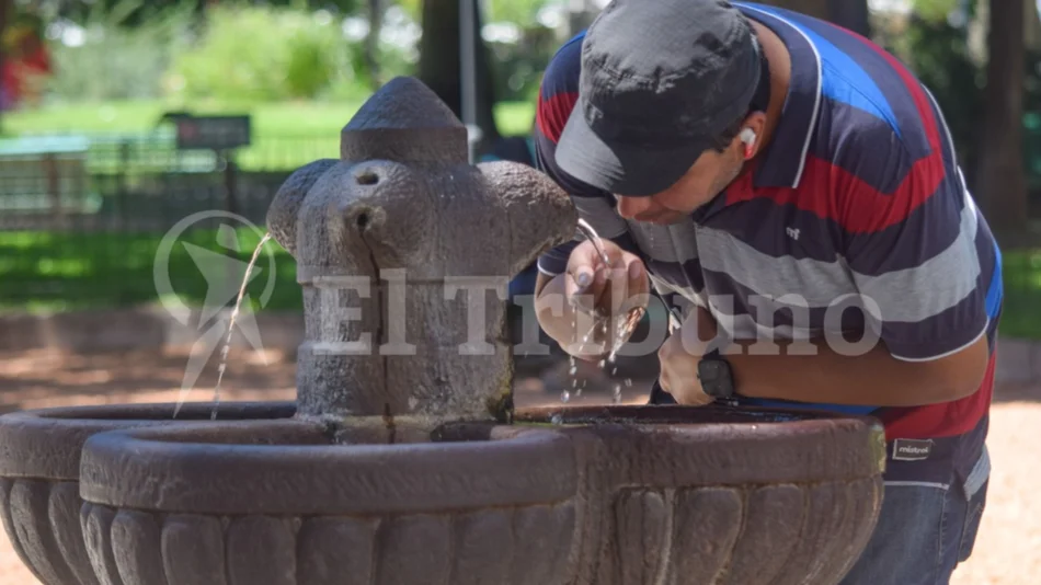 Arde Salta: cómo evitar los golpes de calor