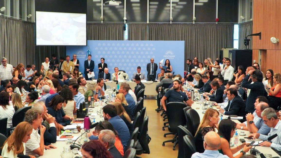 El oficialismo consiguió dictamen para suspender las PASO y se votará el jueves en Diputados