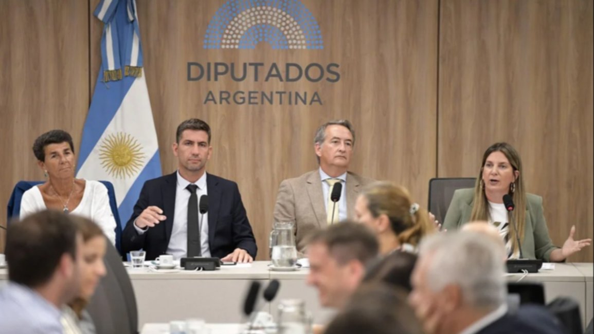 Oficialismo y aliados firmaron el dictamen de Ficha Limpia y quedó listo para Diputados
