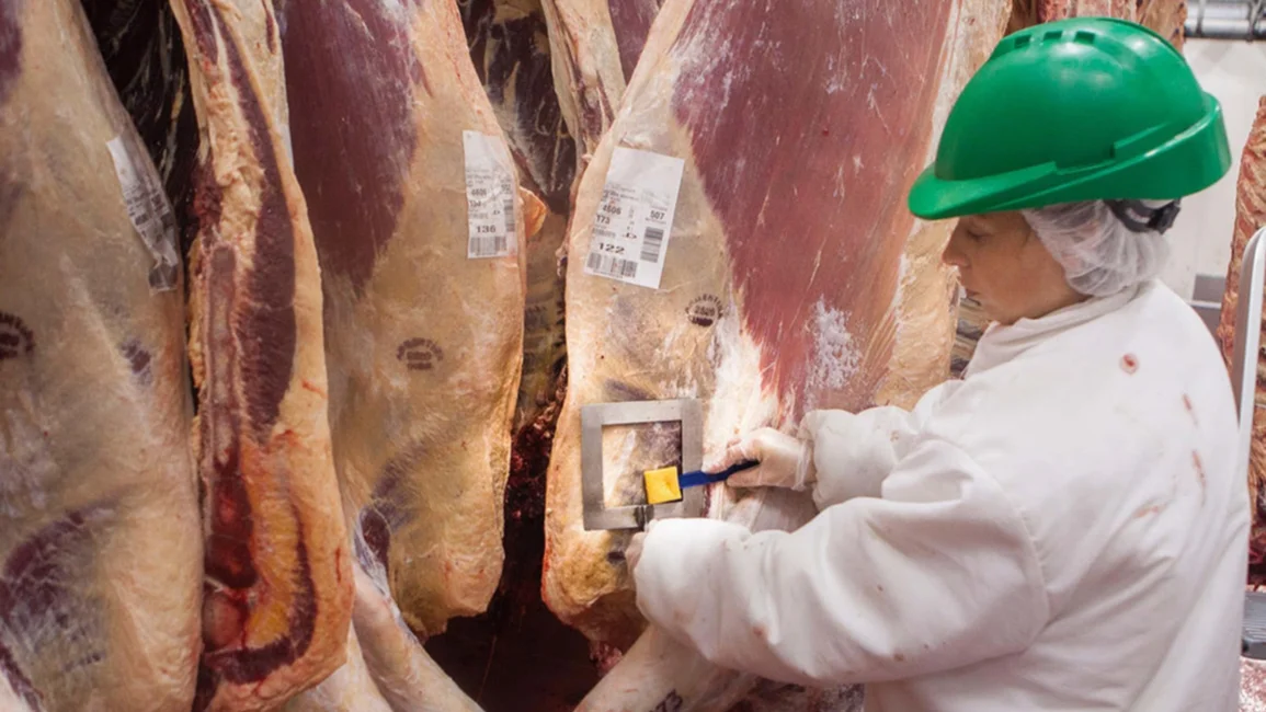Carne: exportaciones récord vs. caída del consumo interno