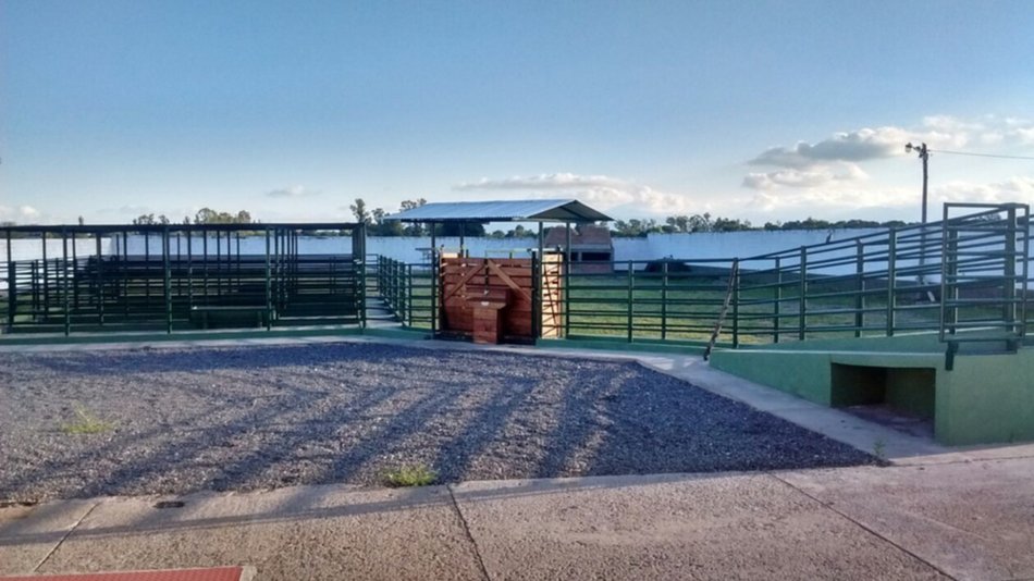Ultiman detalles para inaugurar las modernas instalaciones del matadero de La Merced