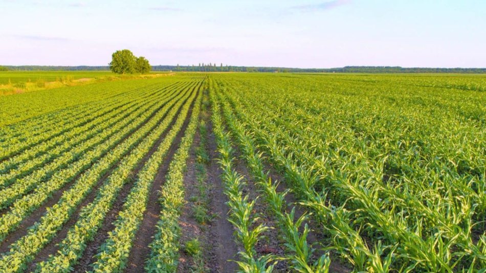 Mejora la eficiencia global en el uso de la energía para la agricultura