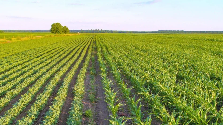 Mejora la eficiencia global en el uso de la energía para la agricultura