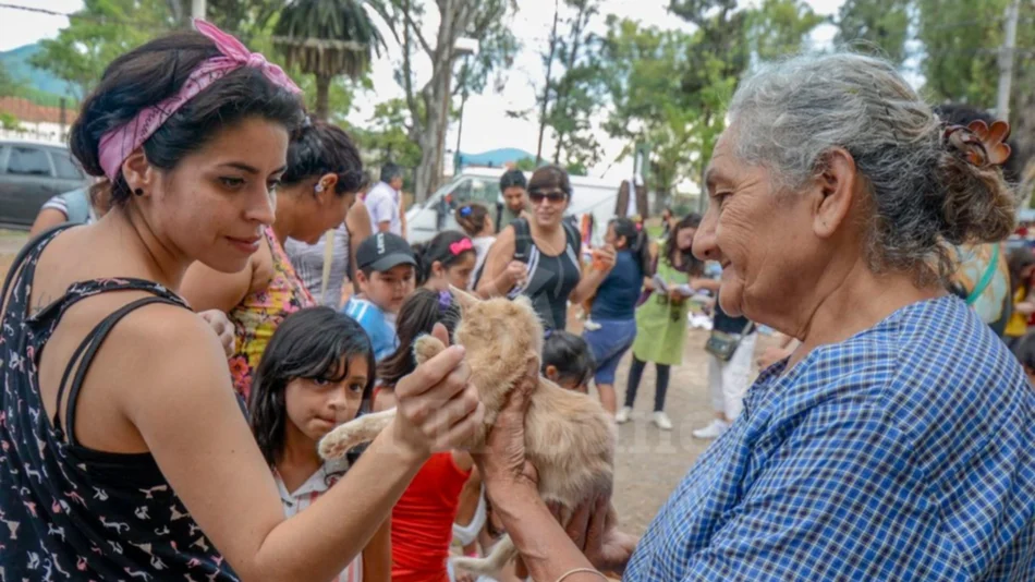 Buscan castrar más mascotas