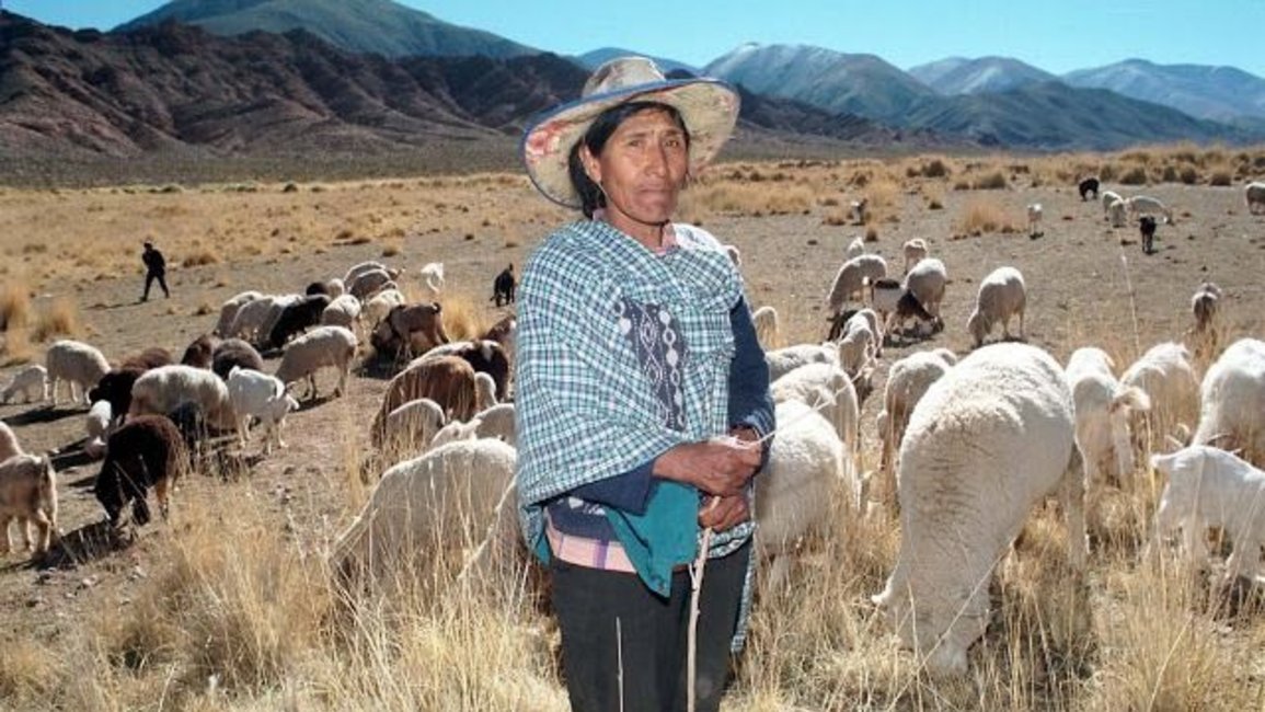 El día en que Eulogia Tapia recordó entre lágrimas a su amiga, la “Negra” Sosa