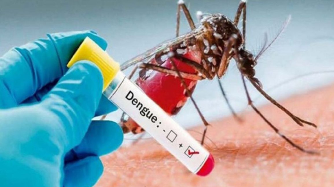 Llegan a 160 los casos de dengue confirmados en Salta