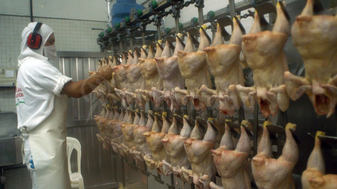 Advierten que habrá sobreoferta de pollo y esperan que baje el precio