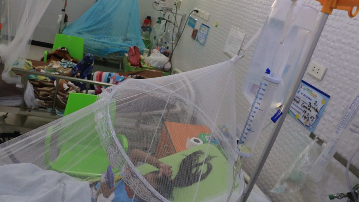 Ascienden a 151 los casos de dengue en Jujuy, y la mayoría se encuentran en aislamiento