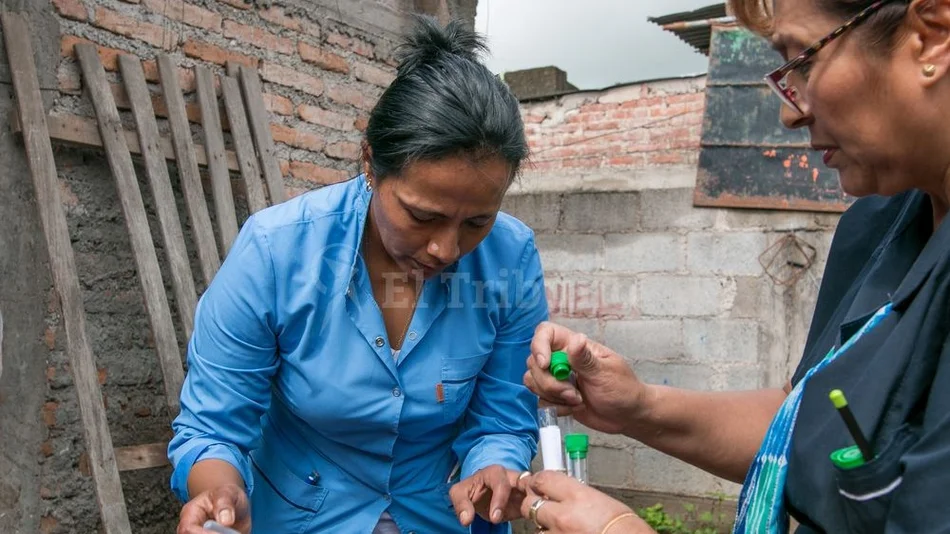 Alerta: Esta semana se dispararon los casos de dengue en la provincia