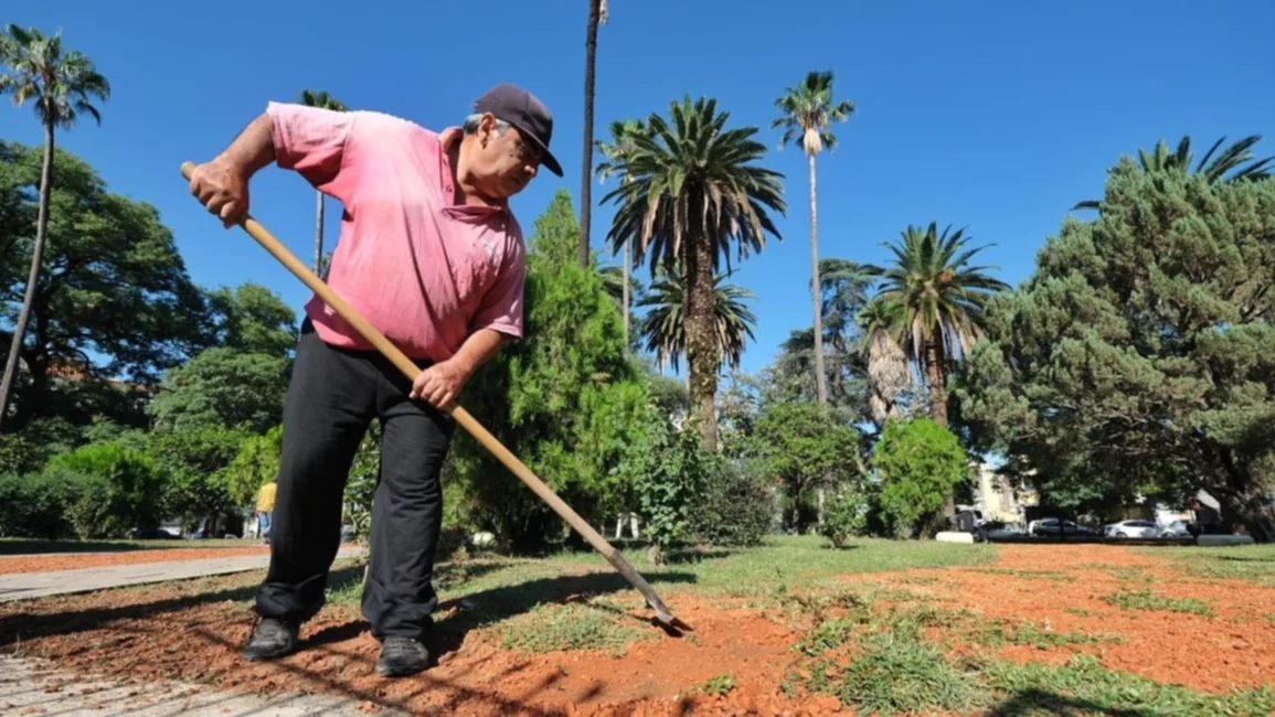 “Las plazas y los placeros vamos a estar agradecidos de que la gente nos valore”