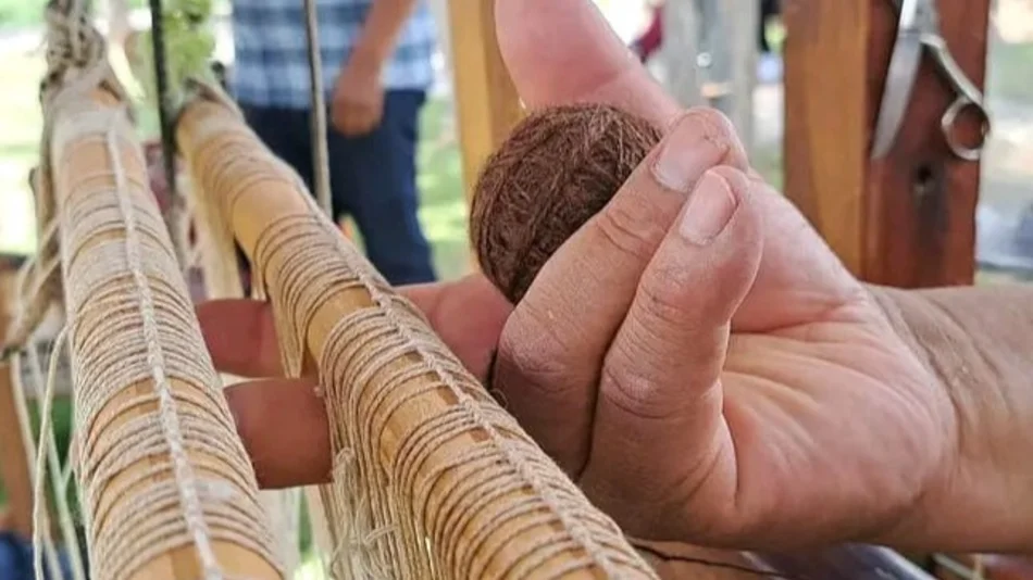 Anuncian el montaje de la primera hilandería para Salta