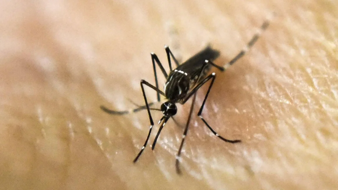  Hay un muerto por dengue en Salta y piden informar los casos