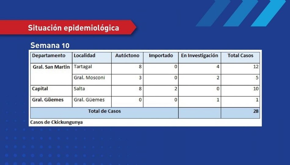 Alarmante: Son más de mil los casos confirmados de dengue en Salta