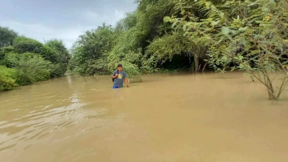 VIDEO. Crecida del río Bermejo: piden agua y comida para familias aisladas 