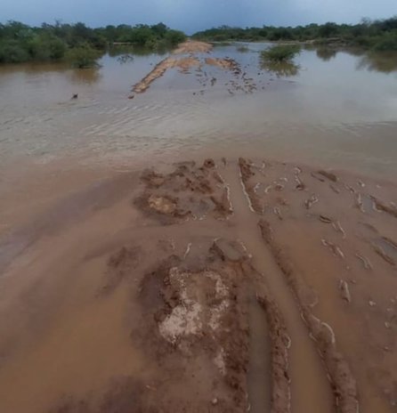 VIDEO. Crecida del río Bermejo: piden agua y comida para familias aisladas 