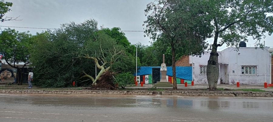 Cortes de luz,  rutas cortadas , postes y árboles caídos por el temporal en Salta