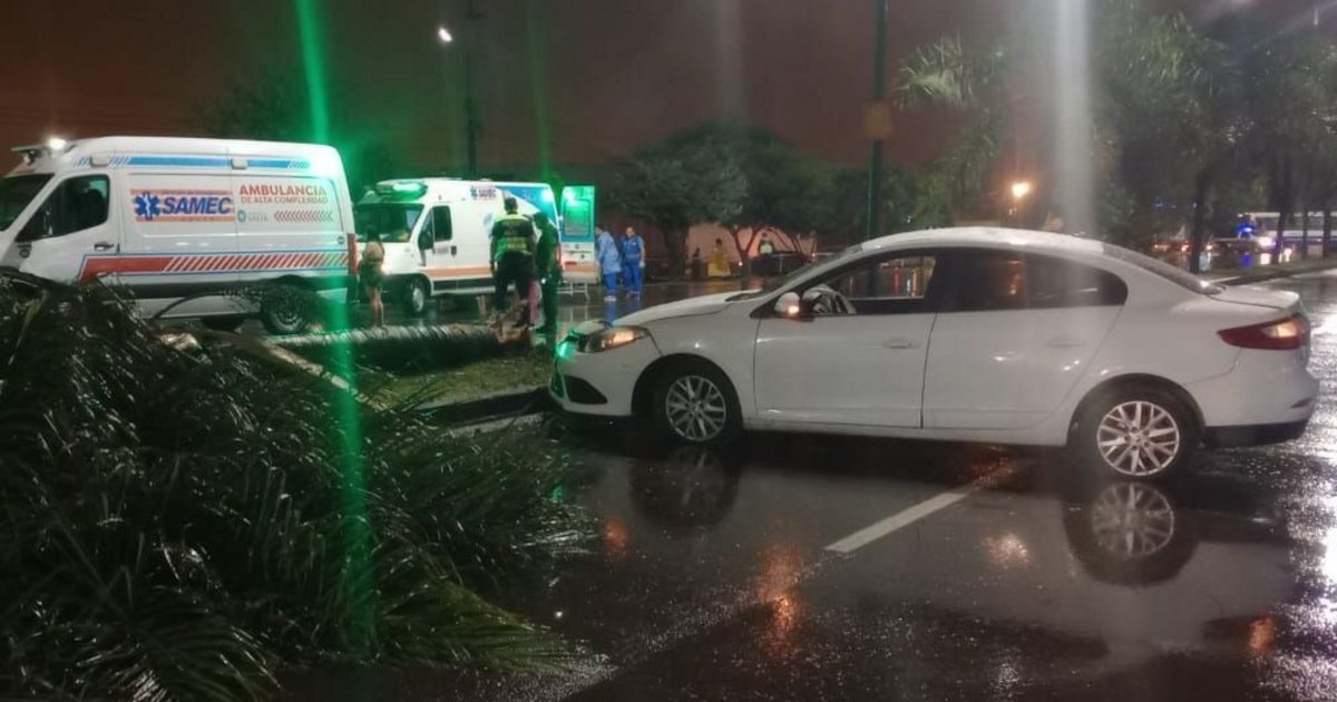 Sin precedentes: ebrio al volante arrolló a 10 personas y mató a 3 en ...