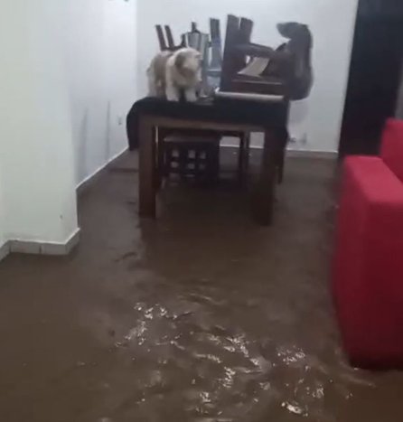 Violento temporal en Metán: el agua arrastró autos e inundó el hospital