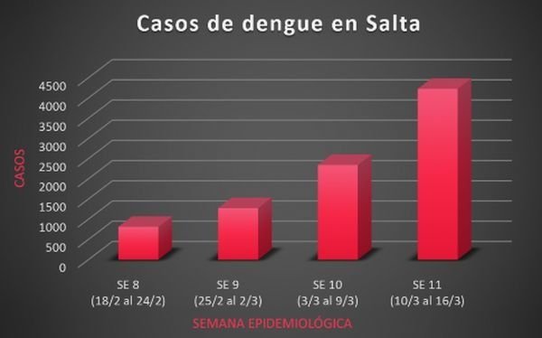 En la última semana aumentaron un 80,5% los casos de dengue en Salta