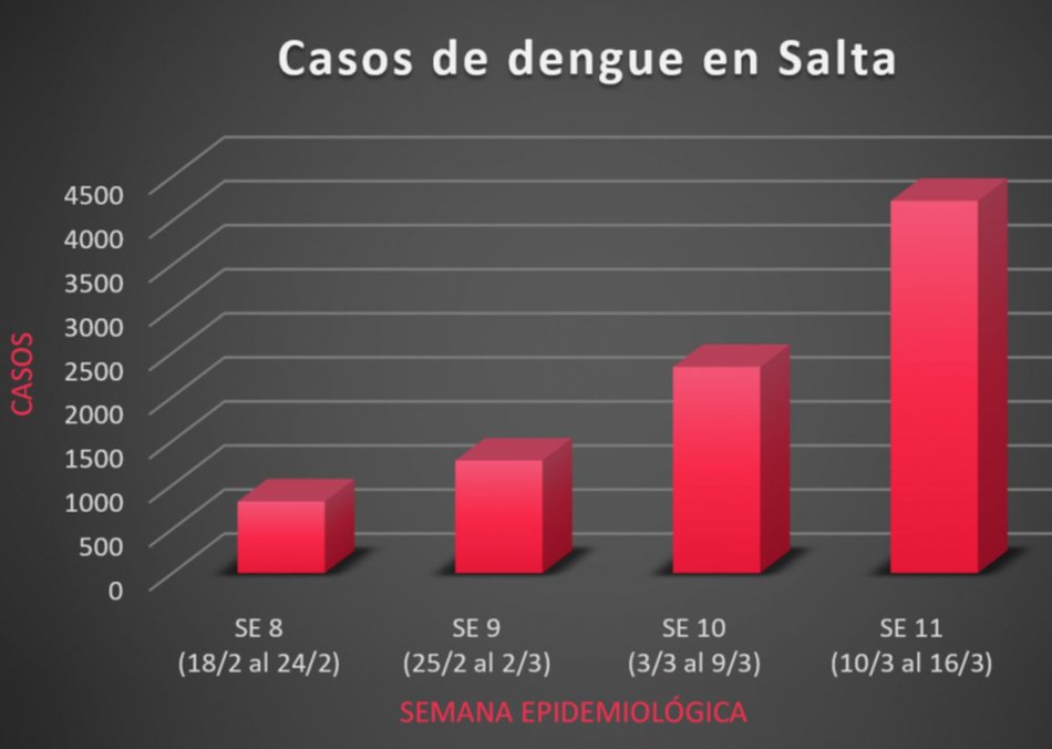 Dengue: casi el doble de nuevos casos en una semana