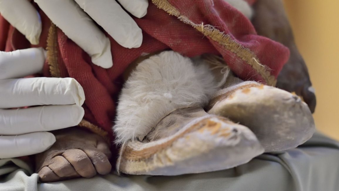 El ajuar de los Niños del Llullaillaco: un sorprendente mundo en miniatura