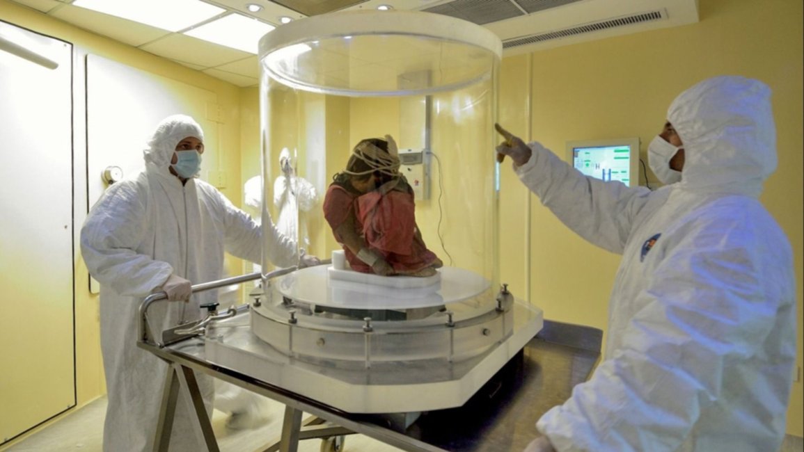 El MAAM, un museo único, para el asombro