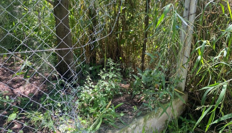 Violento asalto en una empresa agrícola de Metán Viejo