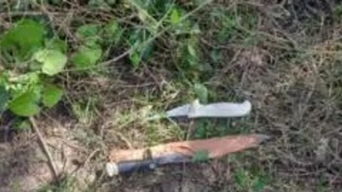 Entró por la ventana y acuchilló a su ex pareja