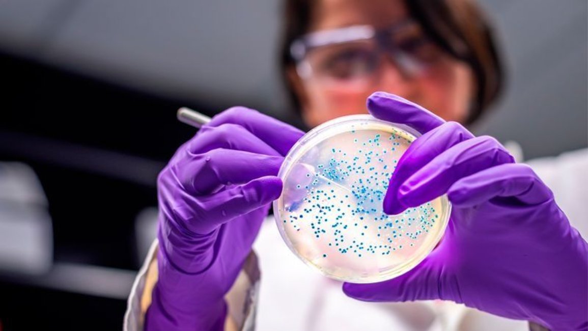 Disminuyeron en un 96,7% los casos de salmonelosis en Salta