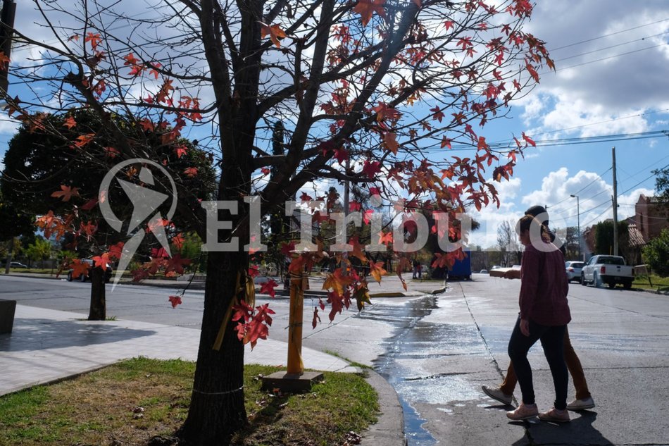 Arranca el otoño en Salta: ¿Cómo variará el clima en los próximos días?- Arranca el otoño en Salta: ¿Cómo variará el clima en los próximos días?