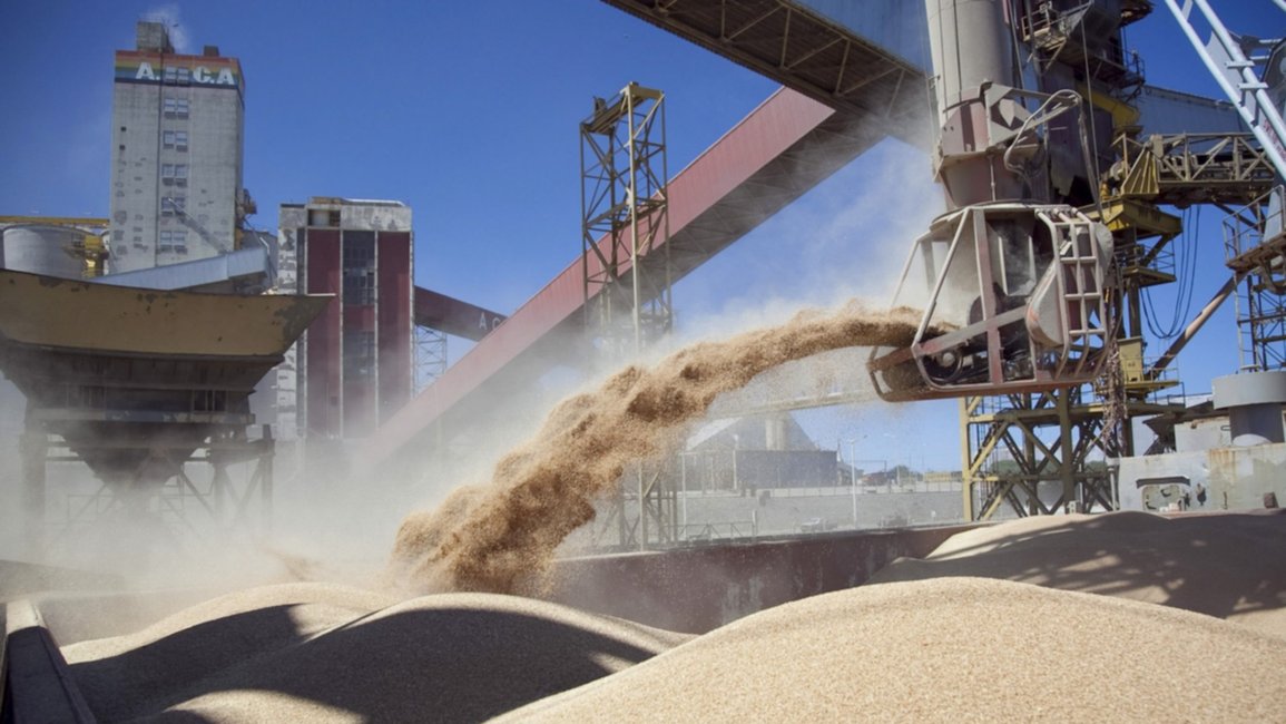 El campo aportaría este año más de US$30.000 millones