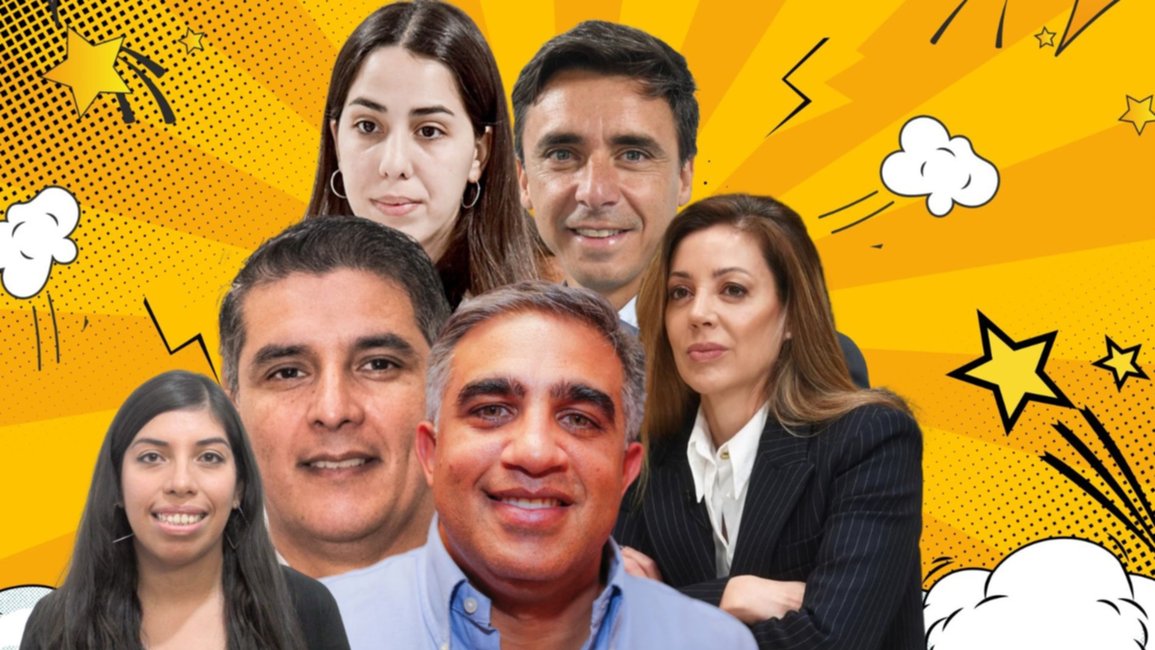 Perfiles variados de los candidatos que buscan llegar a Diputados