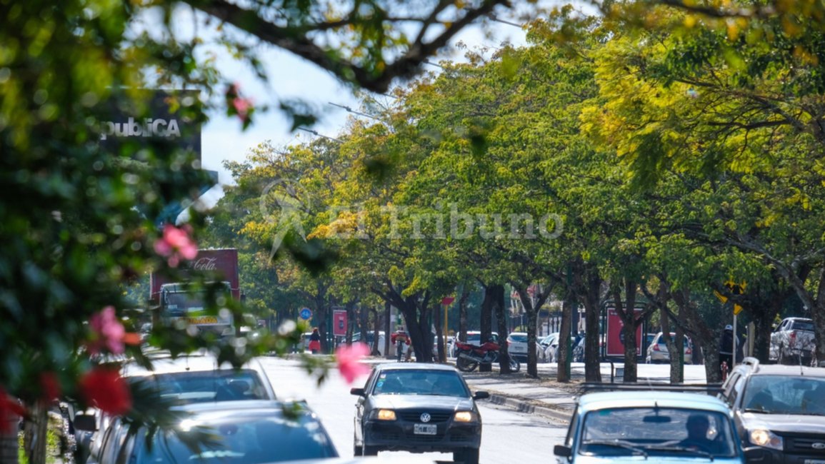 Clima en Salta. Se vienen días agradables, pero atención desde el lunes