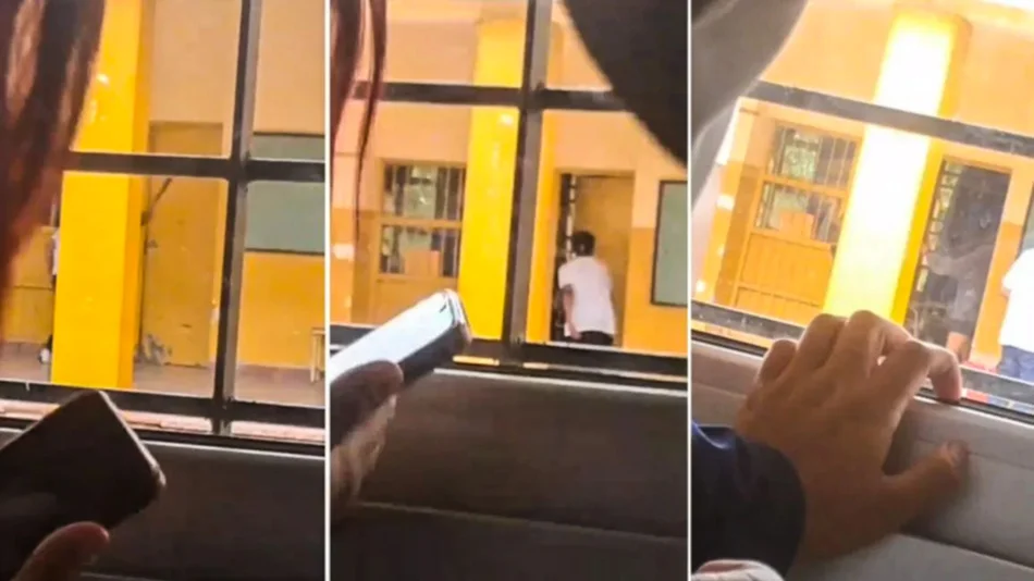 Violencia en el aula: expertos proponen más apoyo emocional y programas preventivos en las escuelas