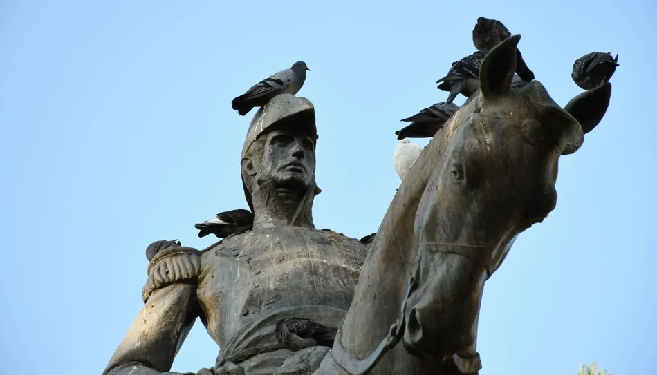 Salta lanza una campaña para controlar la superpoblación de palomas