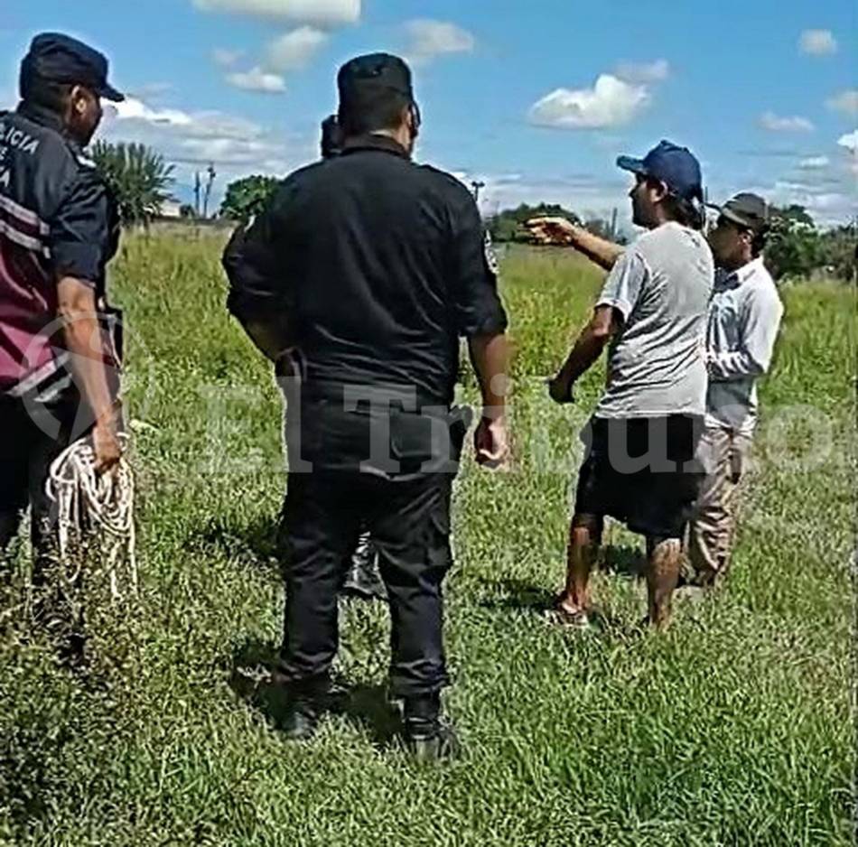 “Cuidate cuando andes en la calle” amenazaron y golpearon a un subcomisario para impedir el secuestro de caballos sueltos-